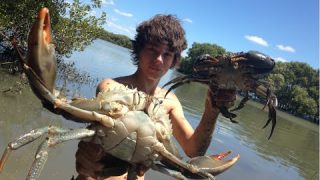 Young Aussie Fellas Catch Massive Mudcrabs For Lunch