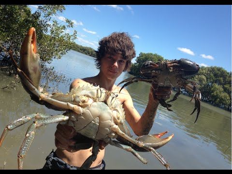 Young Aussie Fellas Catch Massive Mudcrabs For Lunch