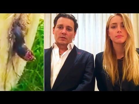 Ozzy Man Reviews: WTF Happened in April 2016