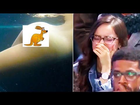 Ozzy Man Reviews: WTF Happened in November 2016
