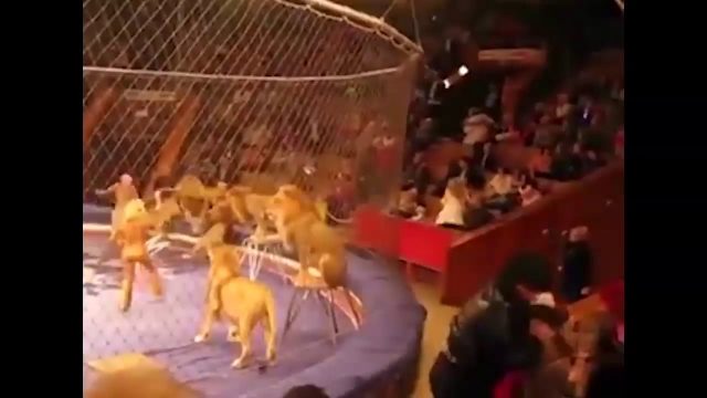 Ozzy Man Reviews: When Animals Fight Back