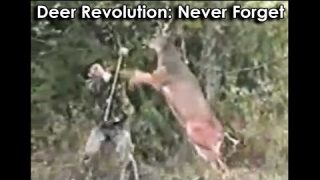 Ozzy Man Reviews: The Great Deer Revolution