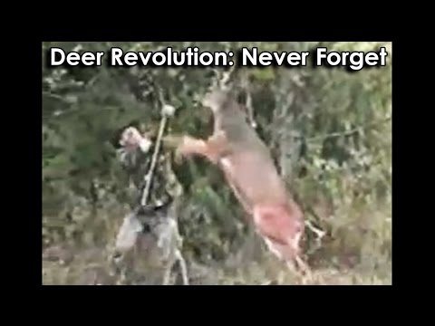 Ozzy Man Reviews: The Great Deer Revolution