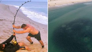 HUGE F*cken Bull Shark Caught In Aussie Lake Popular With Swimmers