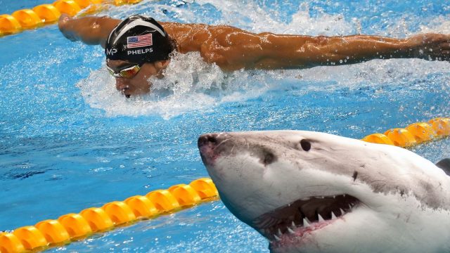 Michael Phelps Races A F*cking Great White Shark To See Who Is Faster