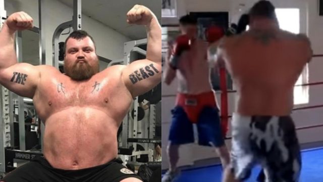 400lbs Current World’s Strongest Man Steps Into The Ring With 140lb Pro Boxer