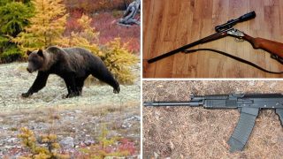 Russian Bear Currently on the Loose Carrying Two Guns Stolen From Hunter