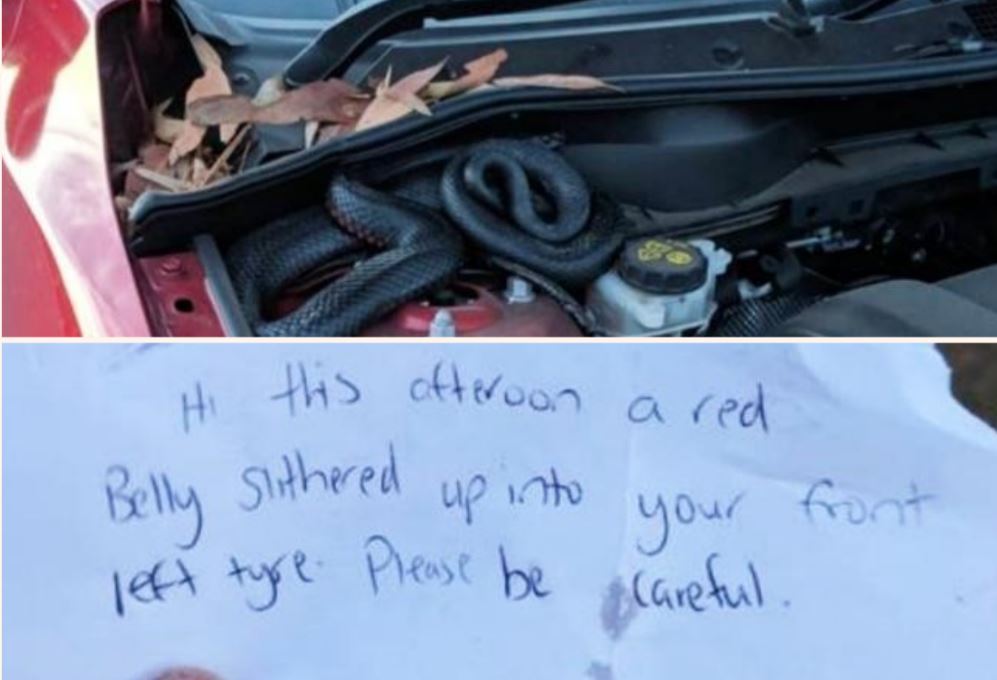 Aussie Bloke Returns To Car And Finds F*&ken Scary Note