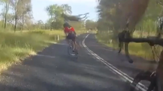 Kangaroo Sends Cyclist To Destination F***ed!