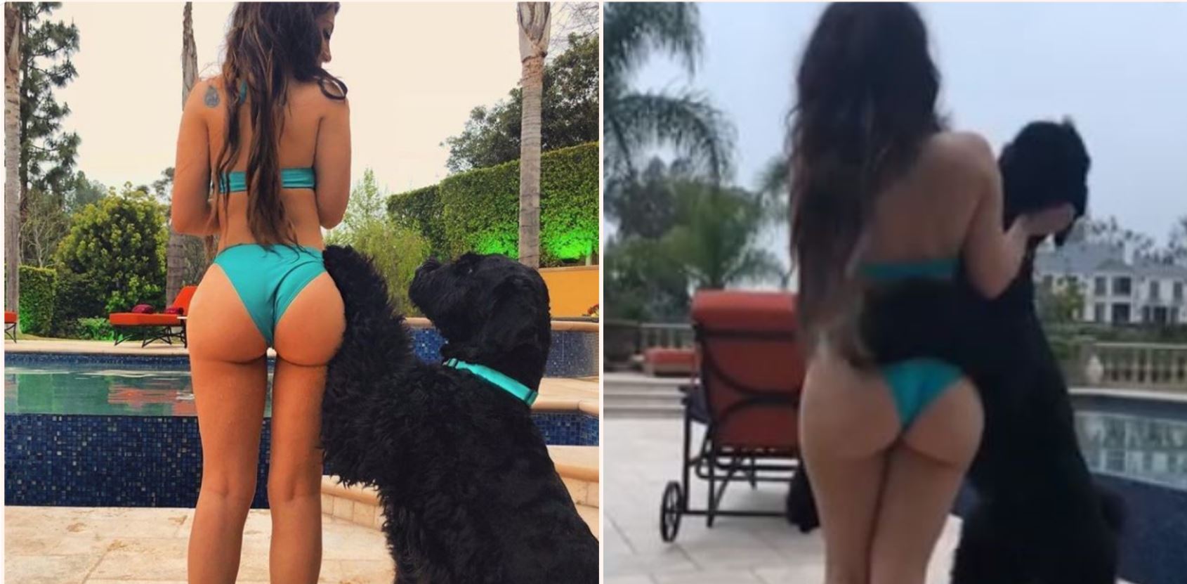 Model being sued for sexually arousing dog after being asked to pose with it