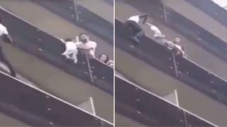 Parisian Spiderman climbs 4 storeys in seconds to save 4-year-old dangling from balcony