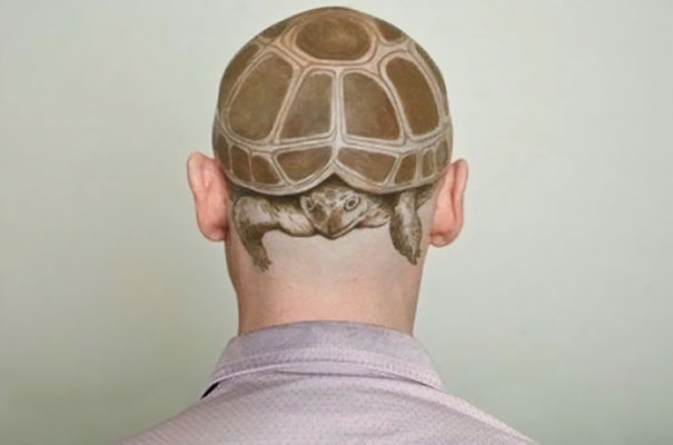Turtle head.