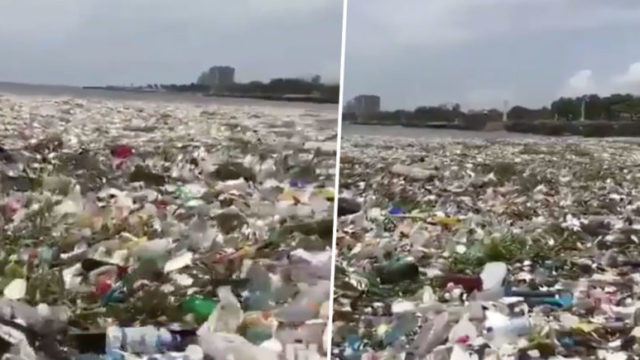 Appalling footage shows sea completely inundated with rubbish