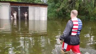 F*cken legend saves dogs from certain death in hurricane florence floodwaters