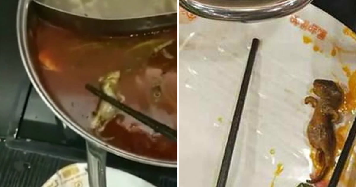 Pregnant woman finds dead rat in soup, restaurant offers to pay for abortion
