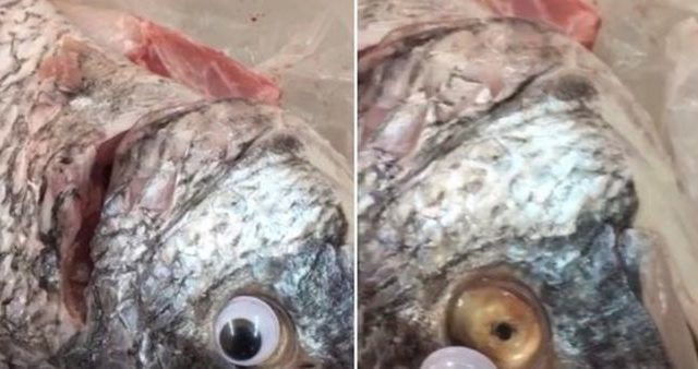 Dodgy store caught selling fish with fake googly eyes stuck on