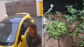 Sheila caught on CCTV camera pumping a massive sh*t on stranger’s driveway