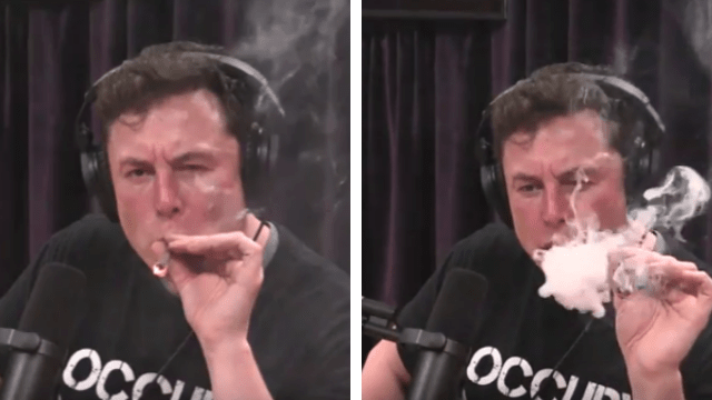 Tesla billionaire Elon Musk gets blazed with Joe Rogan