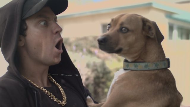 Comedian ‘Eminem’ disses everyone and everything (Parody)