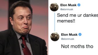 Elon Musk asks Twitter to send him ‘Dank Memes’, it backfires