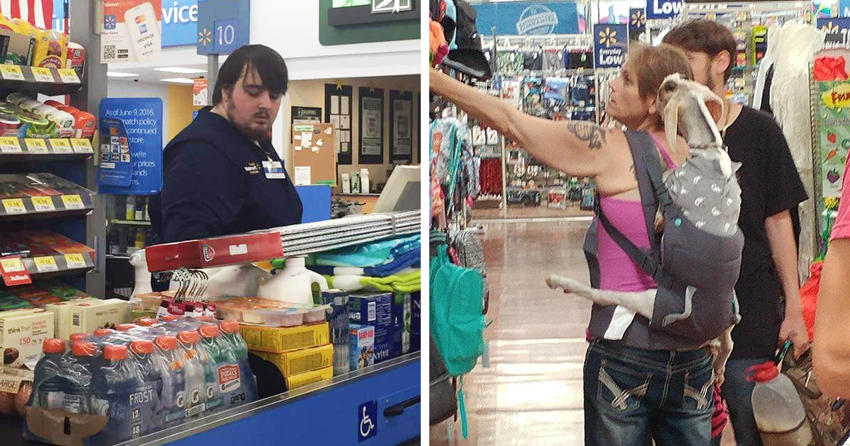 Some Of The Best Things People Have Seen At The Supermarket 