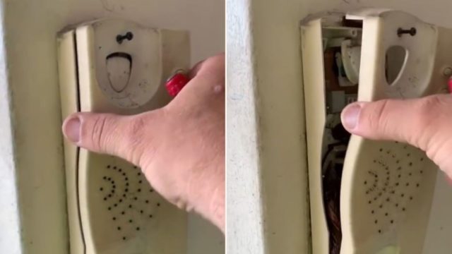 Poor bastard discovers a sh*tload of cockroaches in old phone