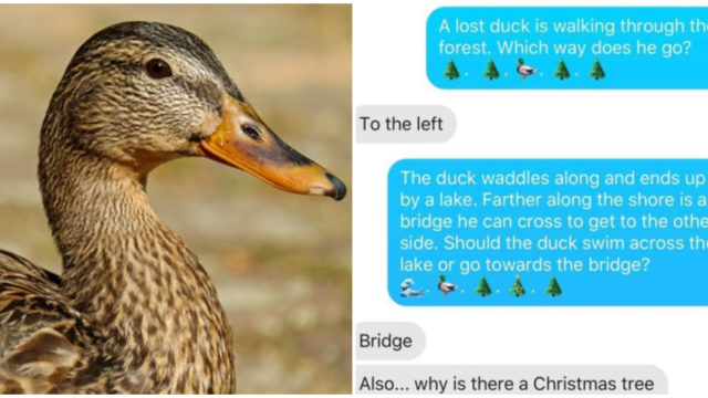 Bloke creates strategy to get phone numbers off Tinder using a “Choose Your Own Adventure”