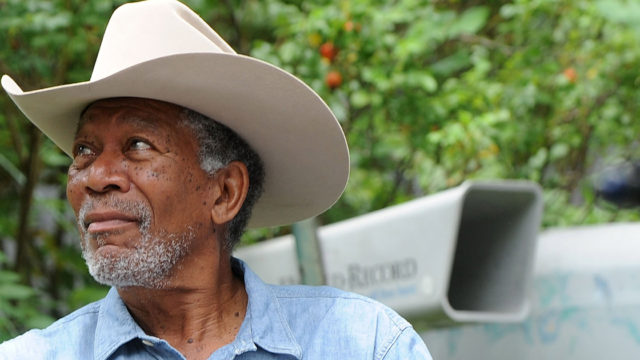 Morgan Freeman has dedicated his huge home to help save the existence of bees