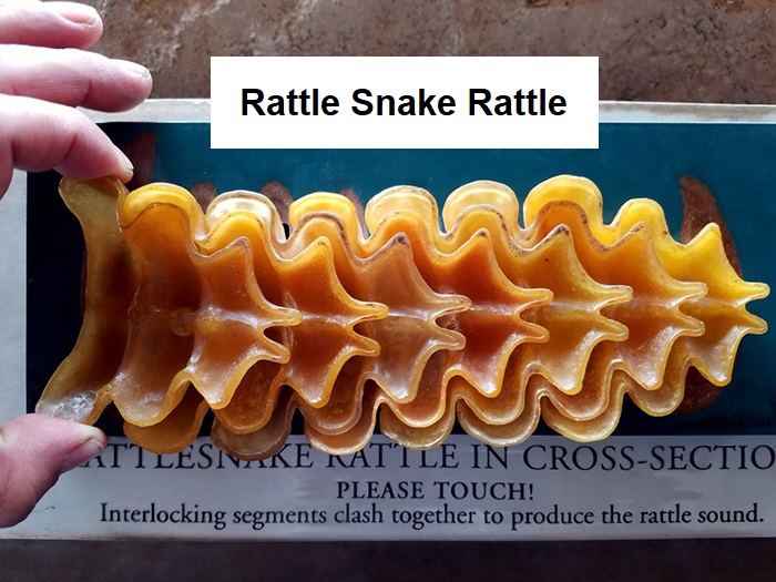 Here’s the inside of some cool s**t that has been cut in half