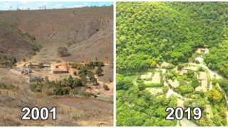 Legendary couple regenerate a completely destroyed forest in just 20 years