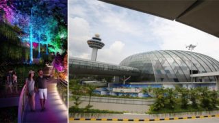 The world’s best airport has a f***en rainforest inside!