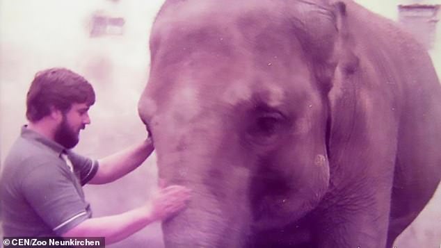 This zookeeper was reunited with elephant he cared for 35 years ago