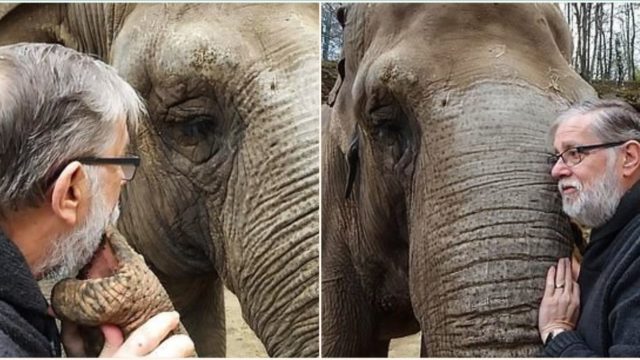 This zookeeper was reunited with elephant he cared for 35 years ago