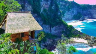 This stunning treehouse in Bali is a bloody bargain for just $50 per night