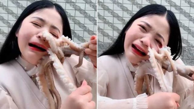 Octopus attacks sheila and sucks onto her face as she attempts to eat it alive