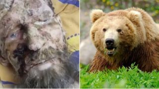 ‘It kept me to eat later’: Claims Russian rescued after spending a month inside a bear den