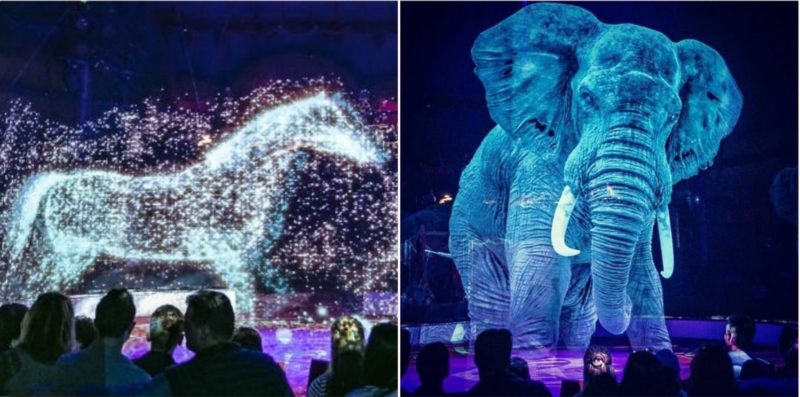 German circus uses holograms instead of live animals to combat animal cruelty