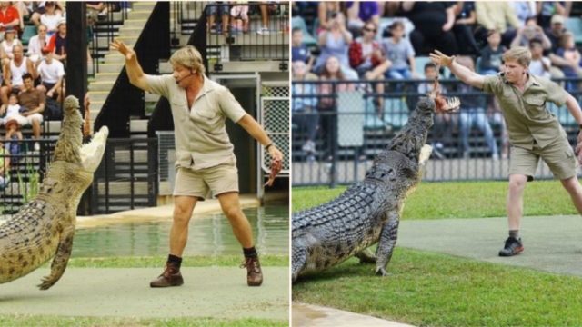 Steve and Robert Irwin fed the same Croc in the same place 15 years apart