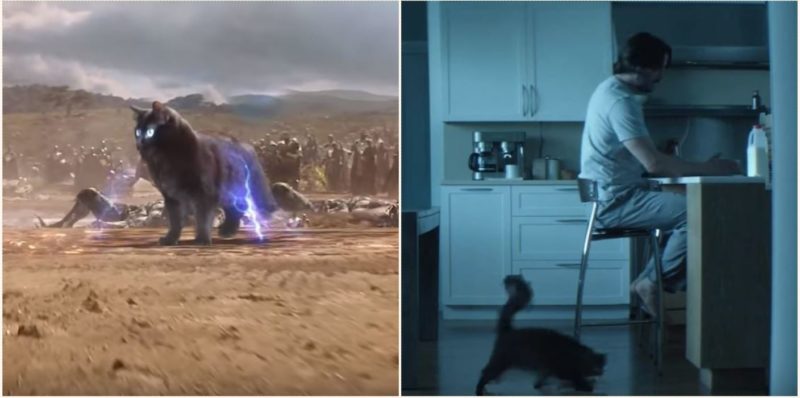 This bloke improves movies by editing his cat into them