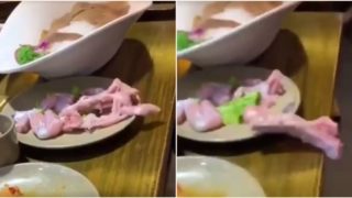 Video of raw meat wiggling it’s way off the table is freaking people out