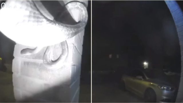 Giant snake is caught on video ringing a doorbell