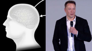 Elon Musk reveals his plan to ‘merge’ human brains with AI