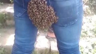 Bloke has colony of bees settle on his bum while driving