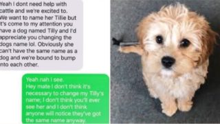 Pregnant Mother demands woman change her dog’s name to use it for her daughter