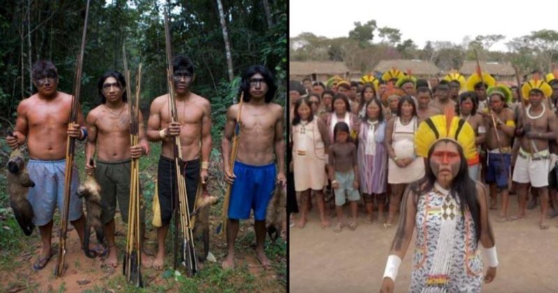 Warring Amazonian Tribes have united against Brazilian Government to protect the environment