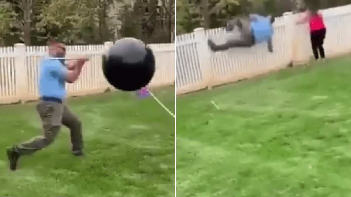 This attempted gender reveal turned into a bloody hilarious nightmare