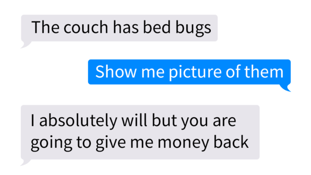 “Single Mum” tries to scam person she bought couch from with fag bugs, backfires beautifully