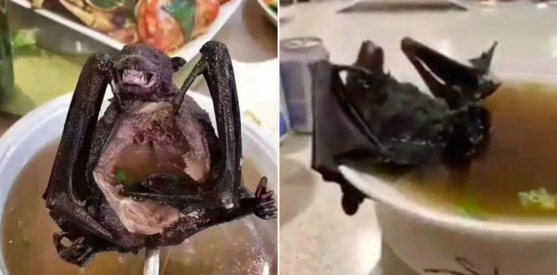 Footage emerges of Chinese eating bat soup that may be behind coronavirus