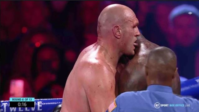 Footage shows Tyson Fury licking Deontay Wilder’s Blood in the middle of fight