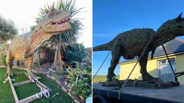 ‘Toy dinosaur’ gets delivered by crane after Dad orders wrong size online